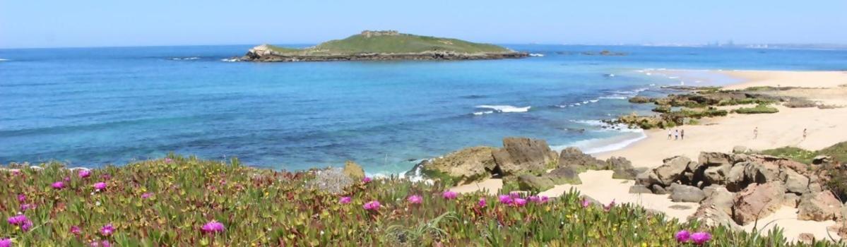 Casa Sol E Areia Villa Eira Nova Porto Covo Eksteriør bilde
